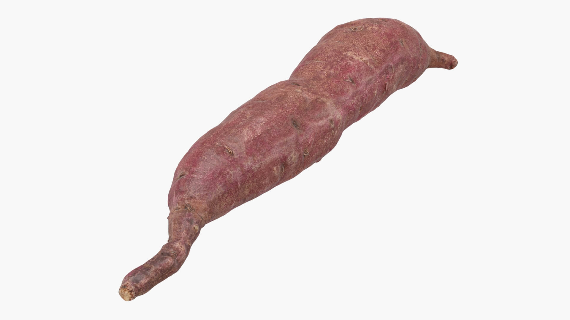 Sweet Potato 04 3D Model