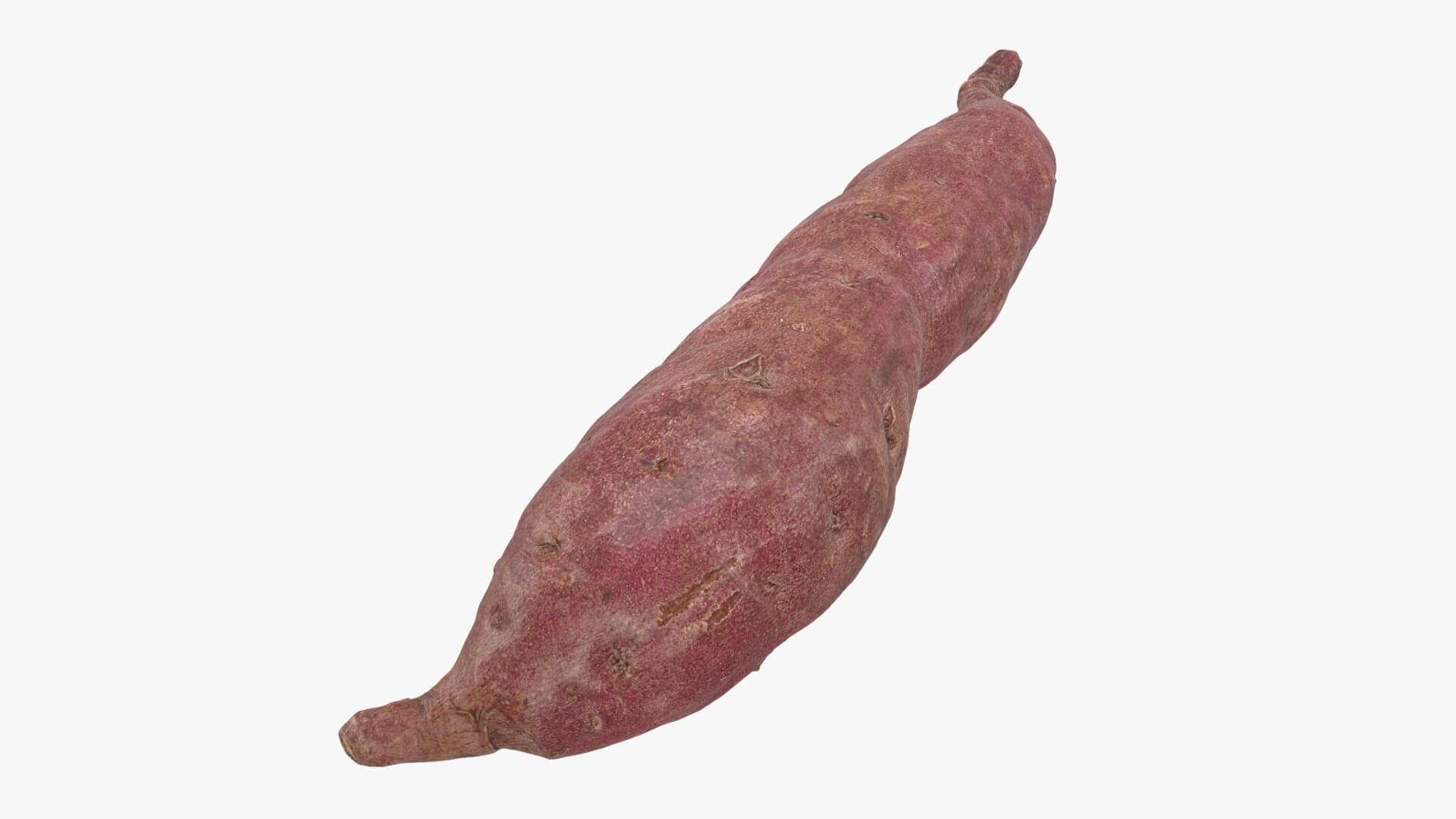 Sweet Potato 04 3D Model