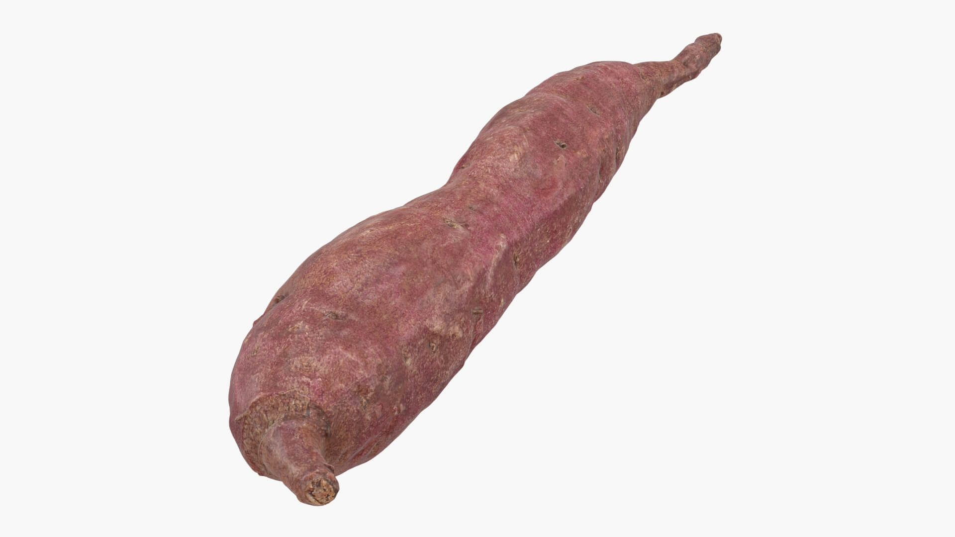Sweet Potato 04 3D Model