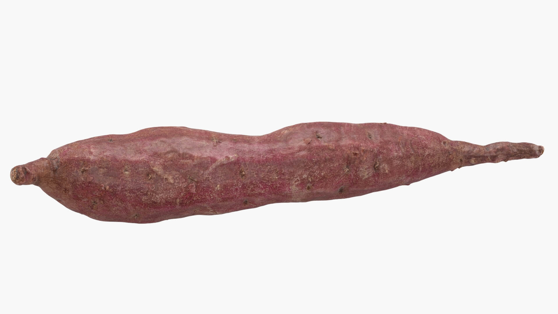 Sweet Potato 04 3D Model
