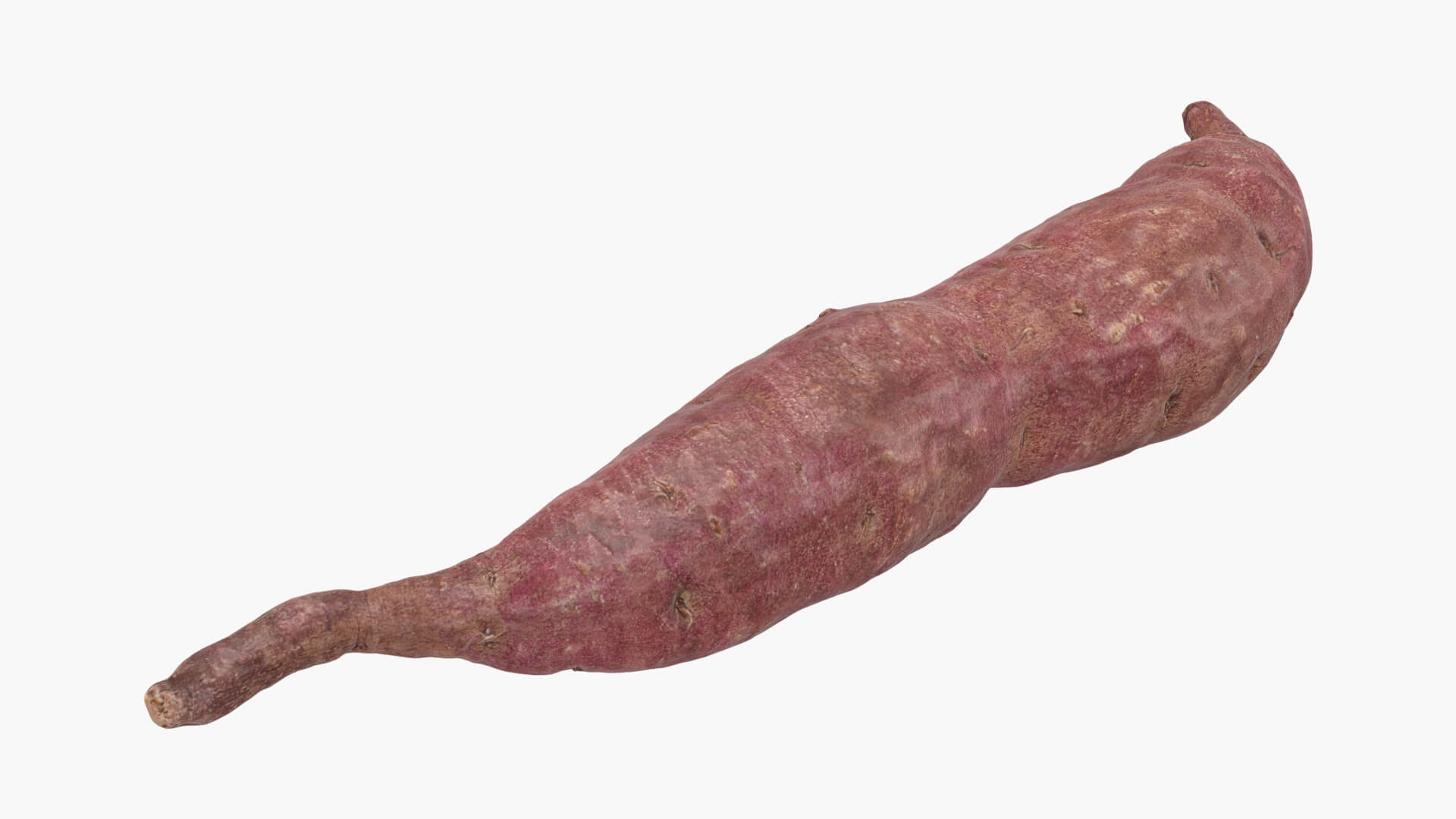 Sweet Potato 04 3D Model