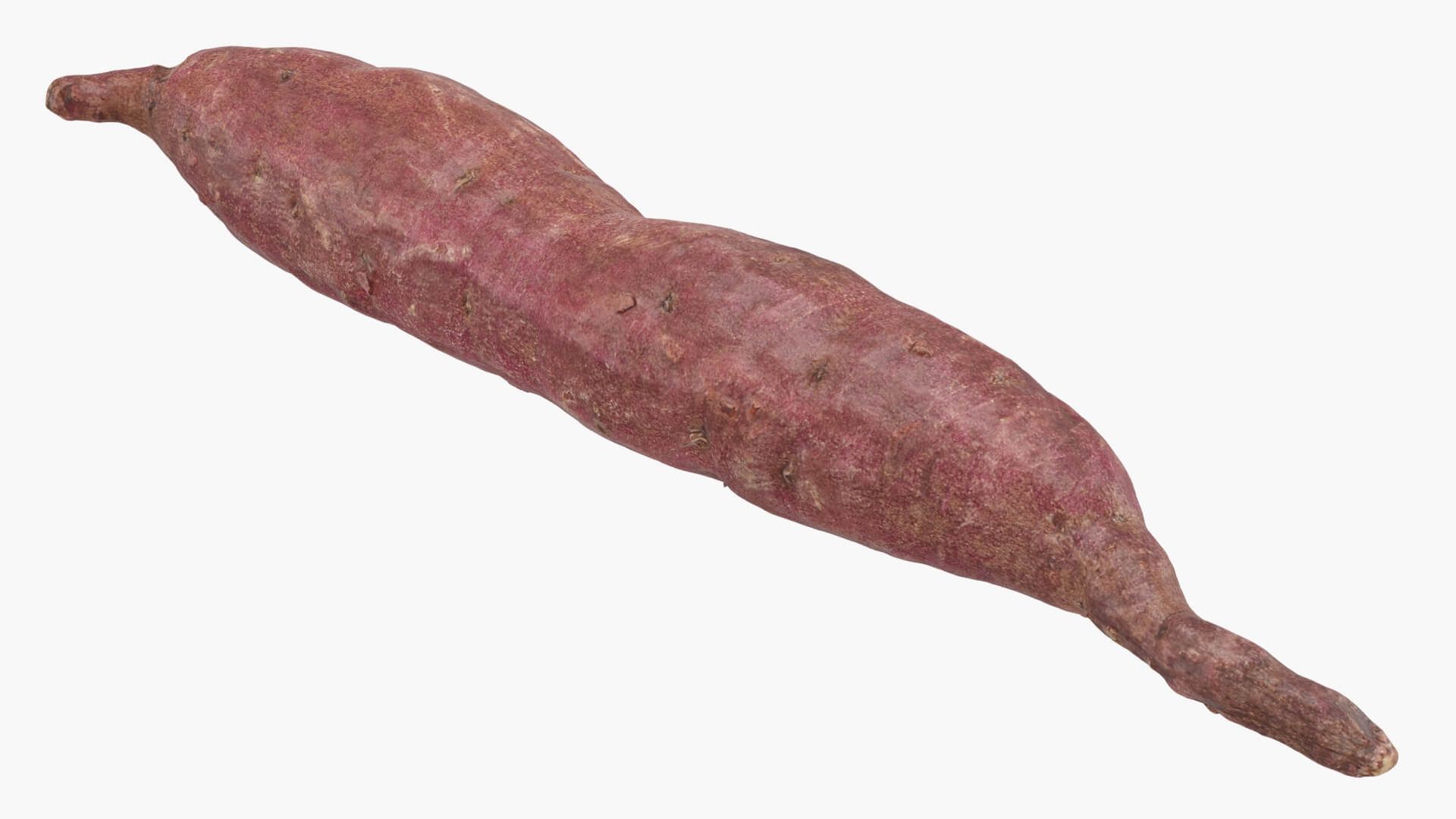 Sweet Potato 04 3D Model