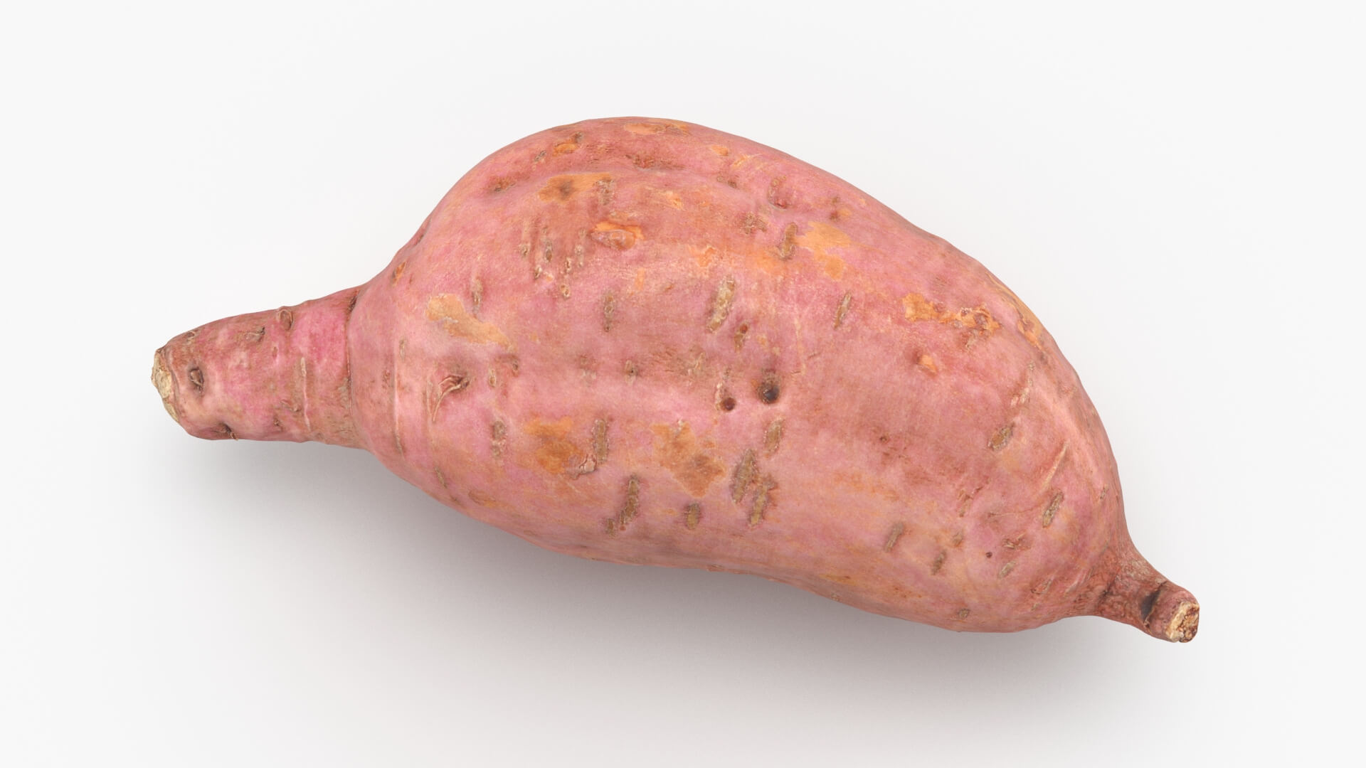 Sweet Potato 05 3D Model