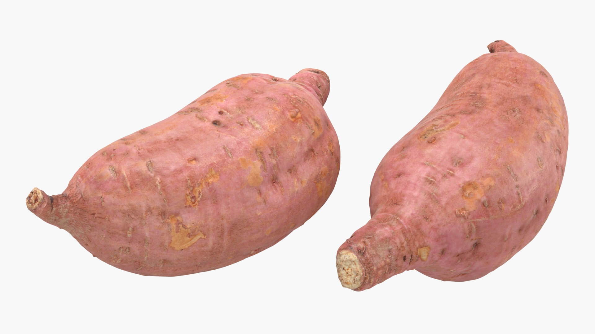Sweet Potato 05 3D Model