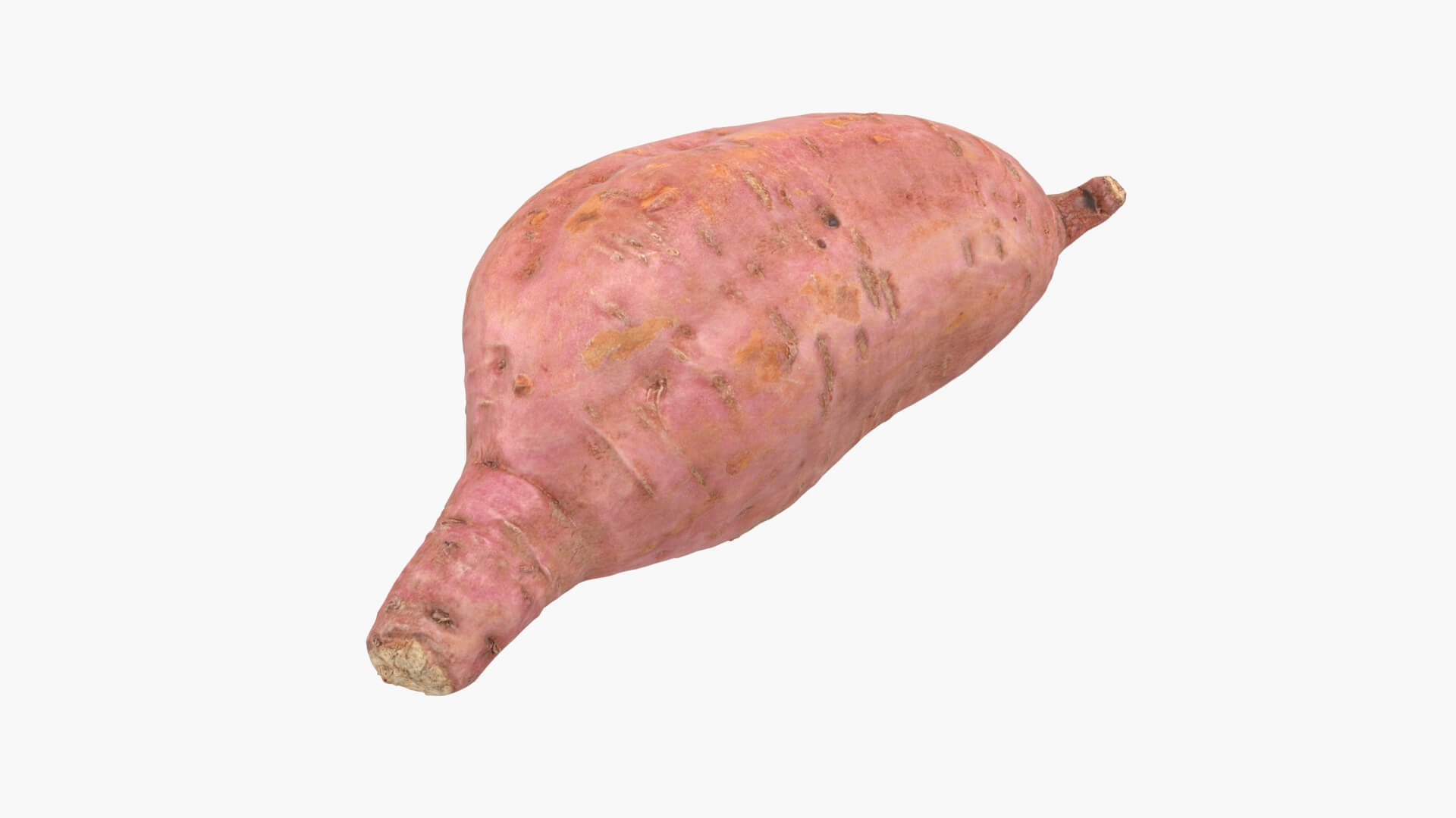 Sweet Potato 05 3D Model