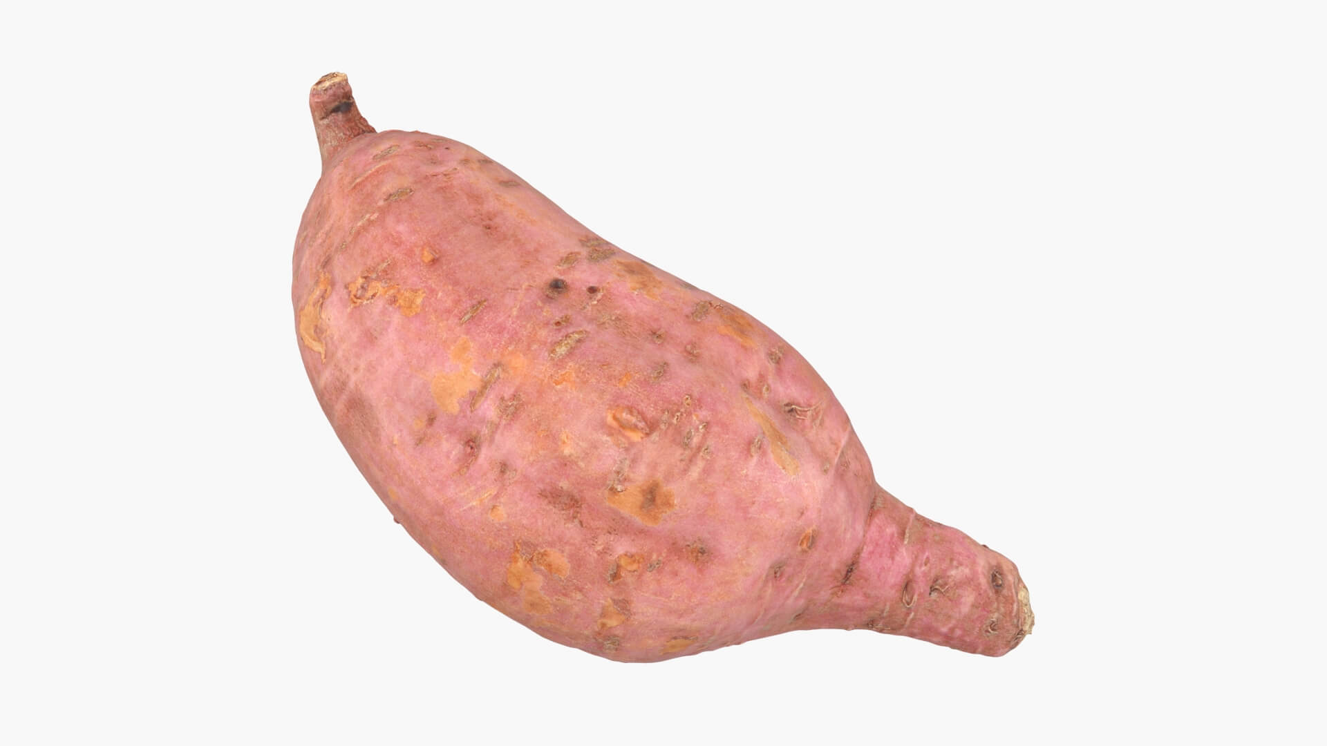 Sweet Potato 05 3D Model