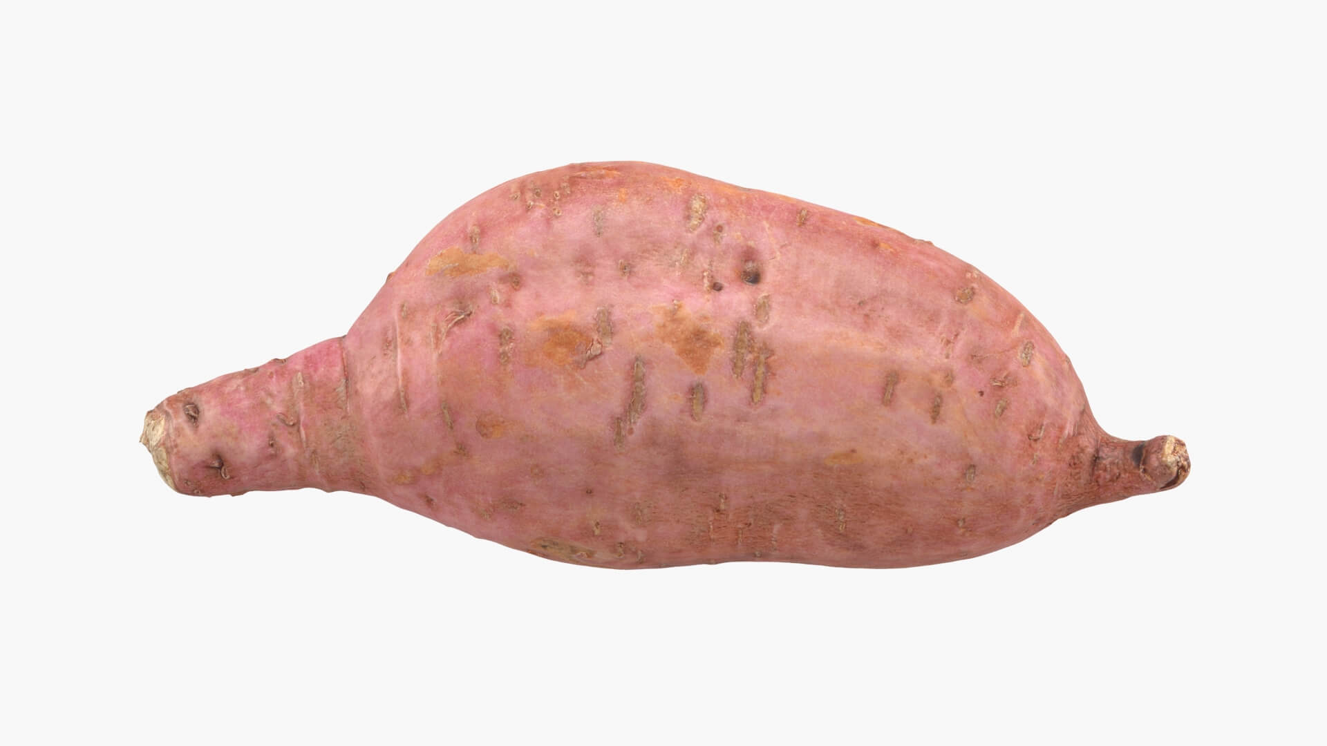 Sweet Potato 05 3D Model