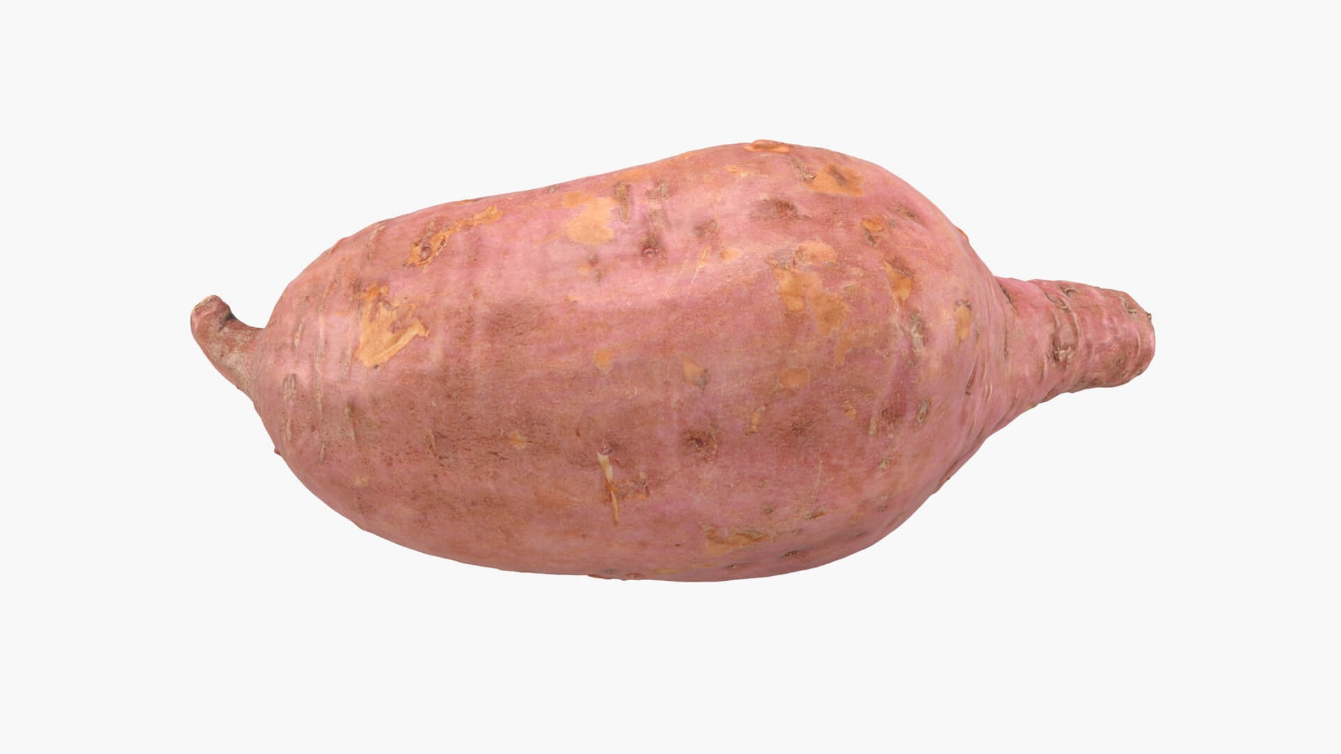 Sweet Potato 05 3D Model