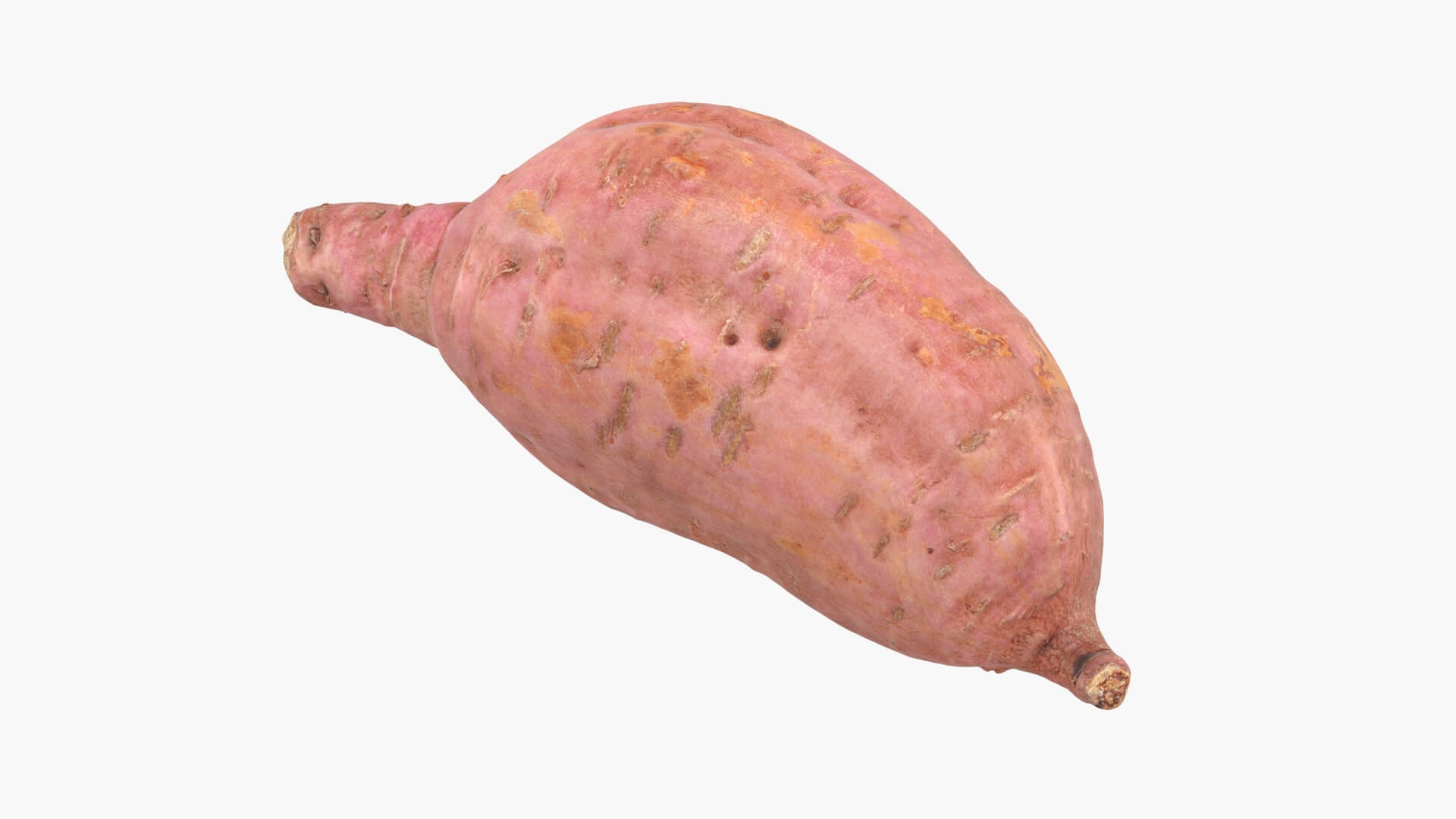 Sweet Potato 05 3D Model
