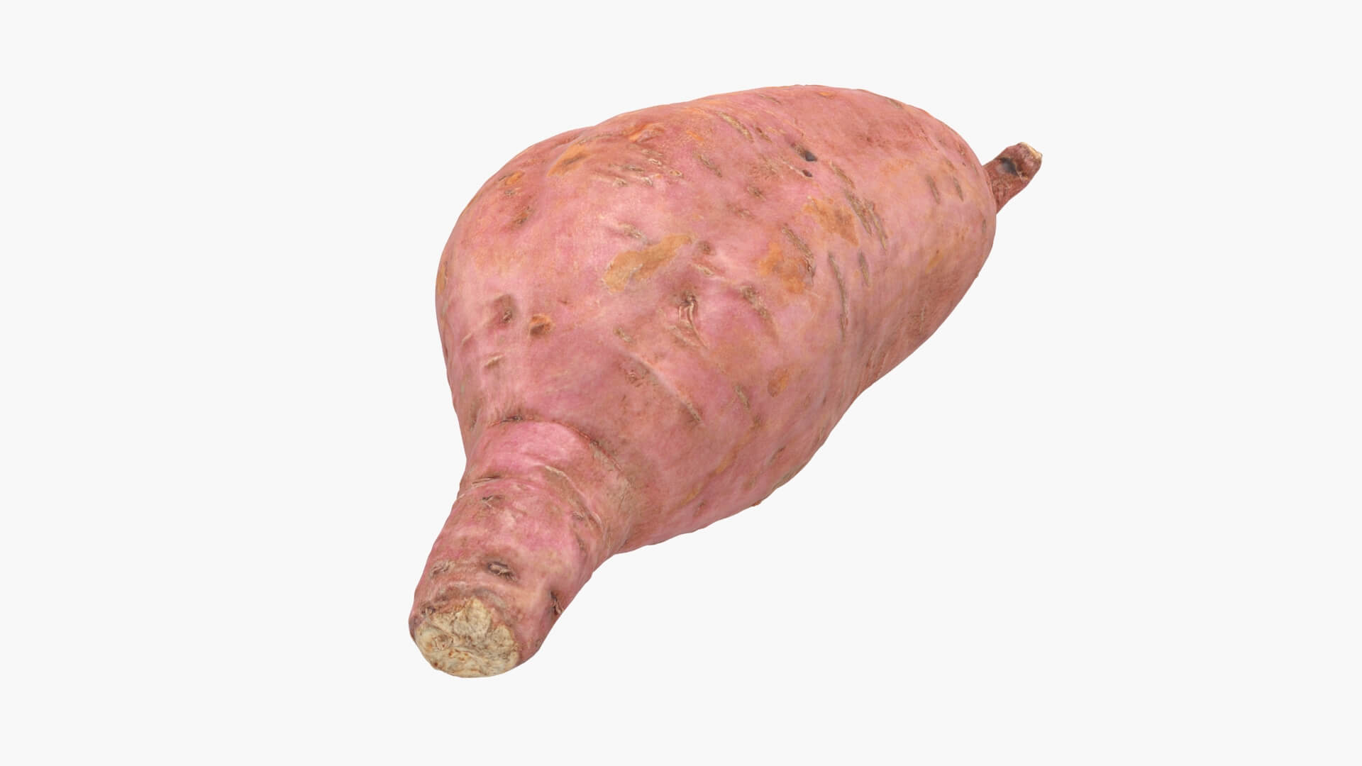 Sweet Potato 05 3D Model