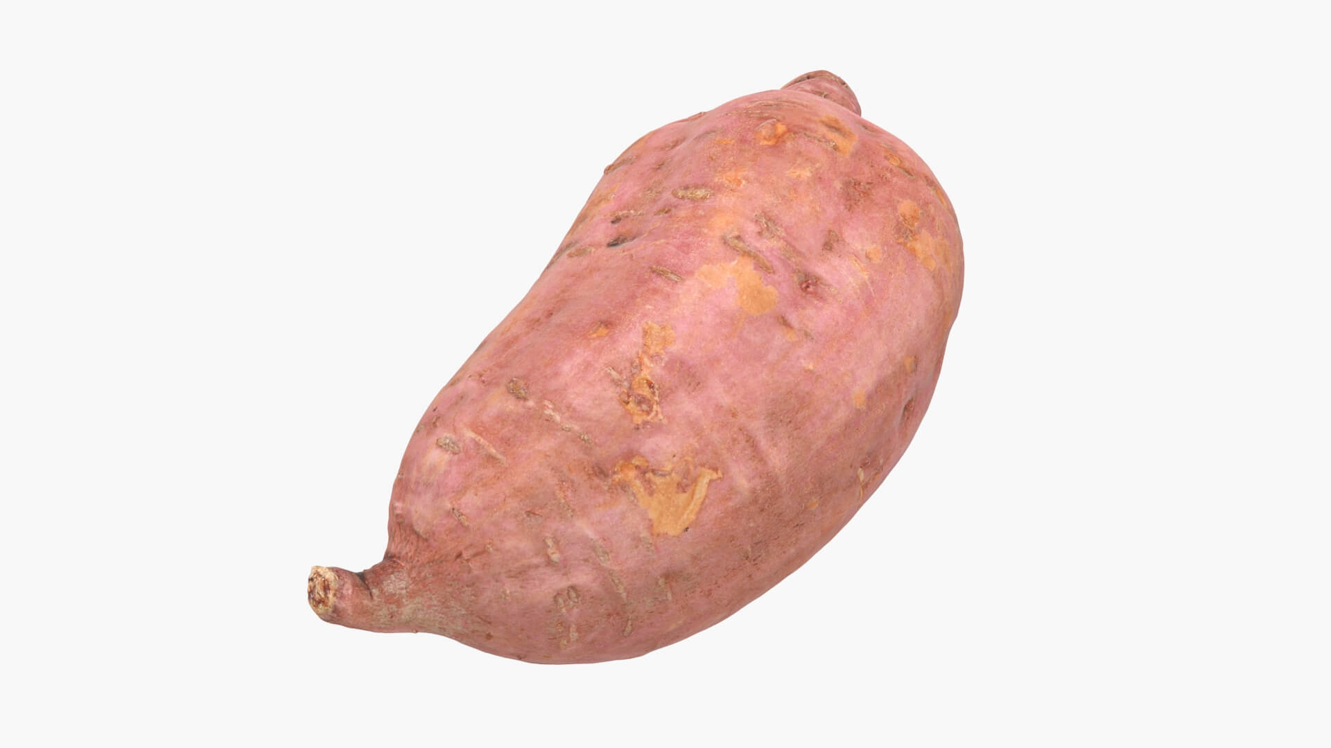 Sweet Potato 05 3D Model