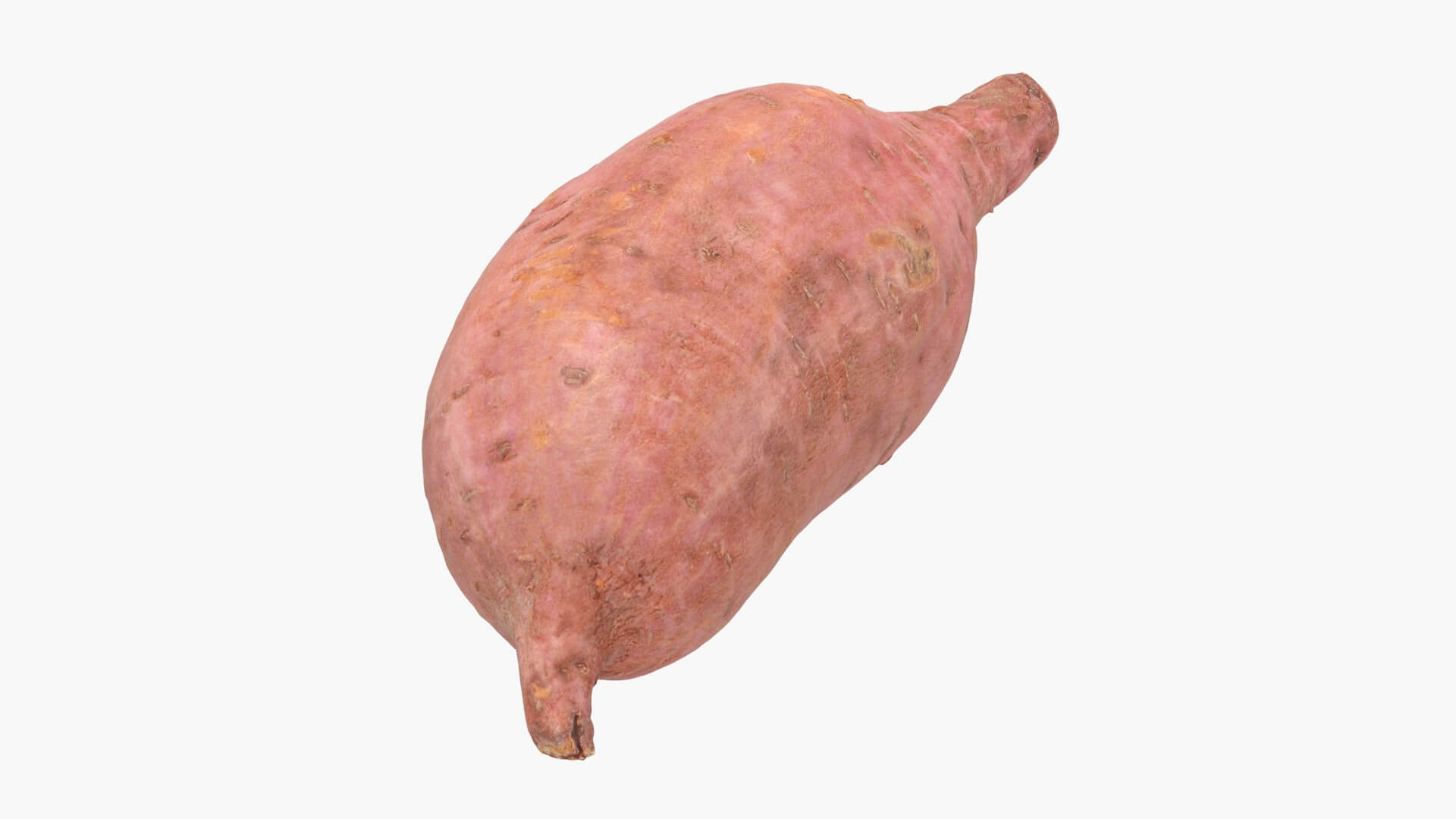 Sweet Potato 05 3D Model