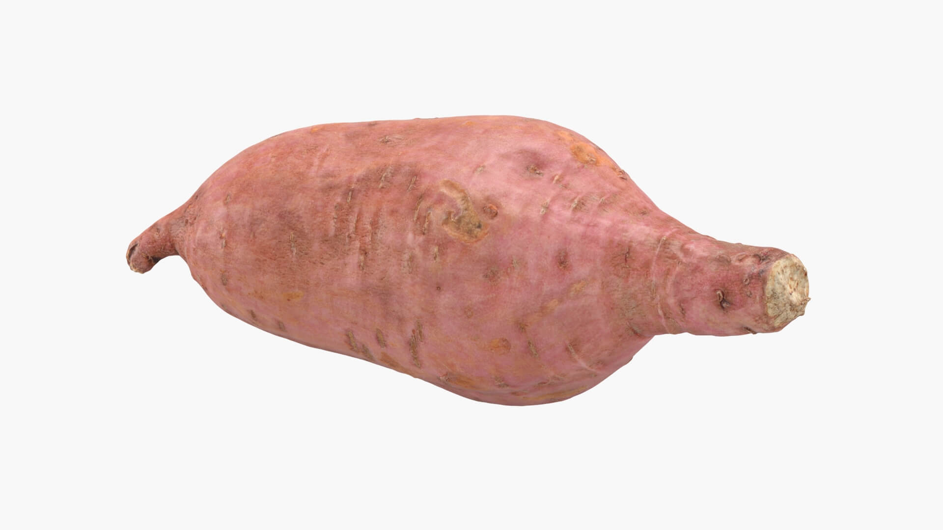 Sweet Potato 05 3D Model