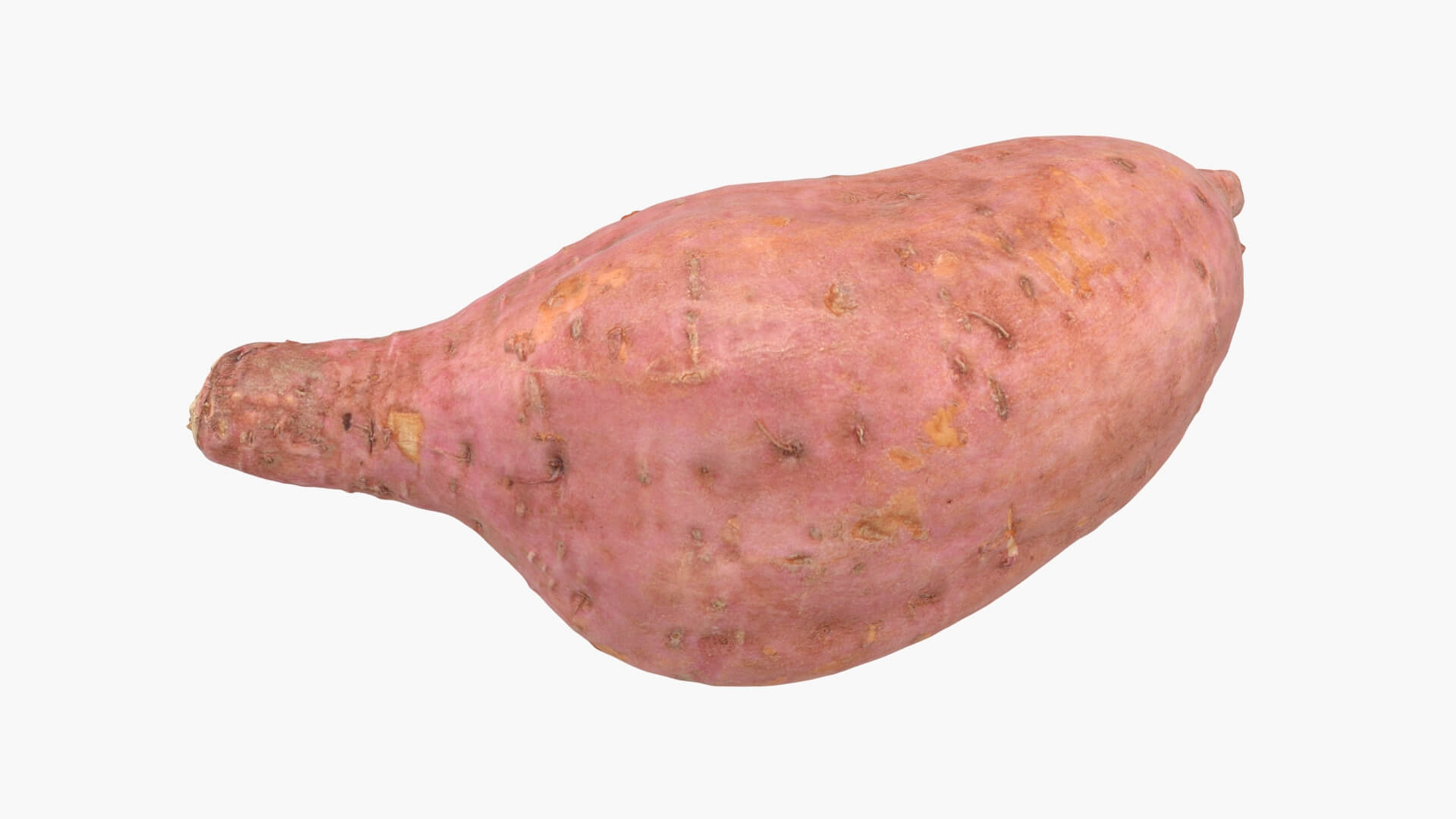 Sweet Potato 05 3D Model