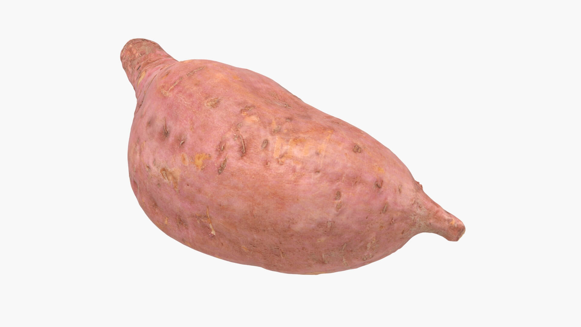 Sweet Potato 05 3D Model