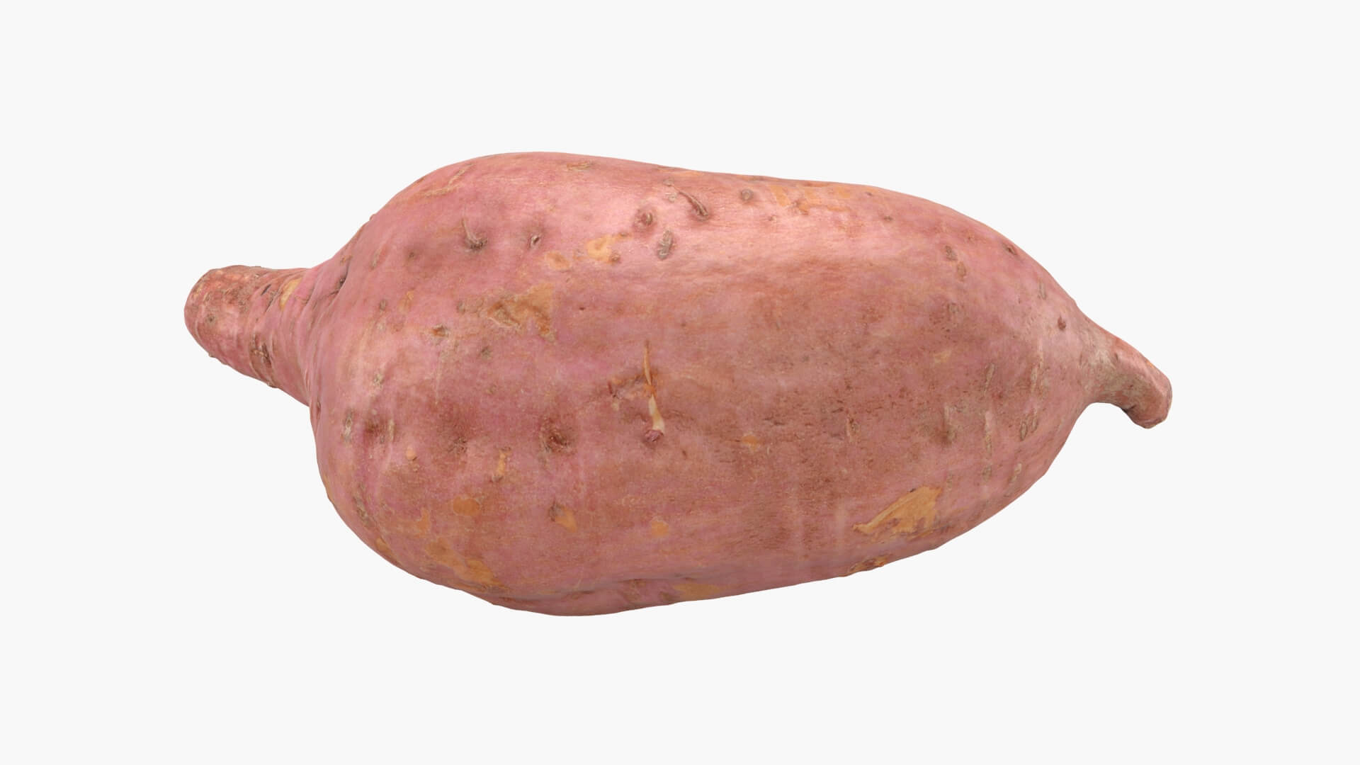 Sweet Potato 05 3D Model