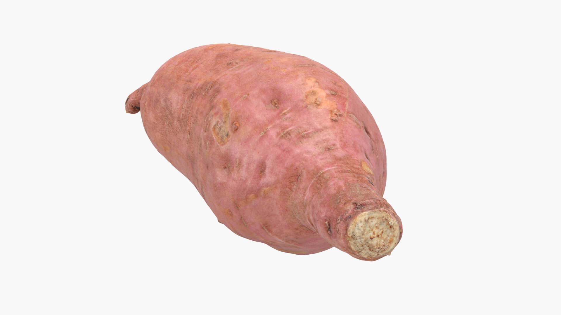 Sweet Potato 05 3D Model