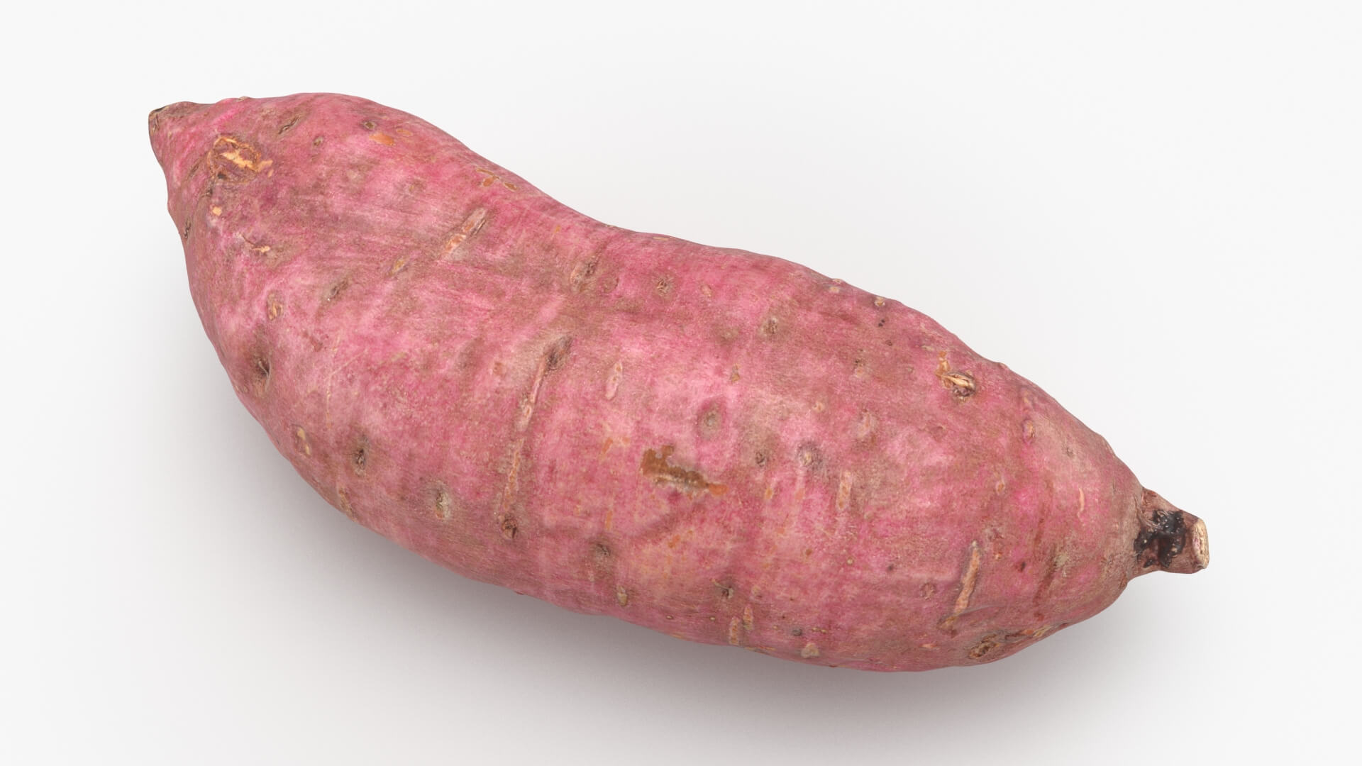 Sweet Potato 06 3D Model