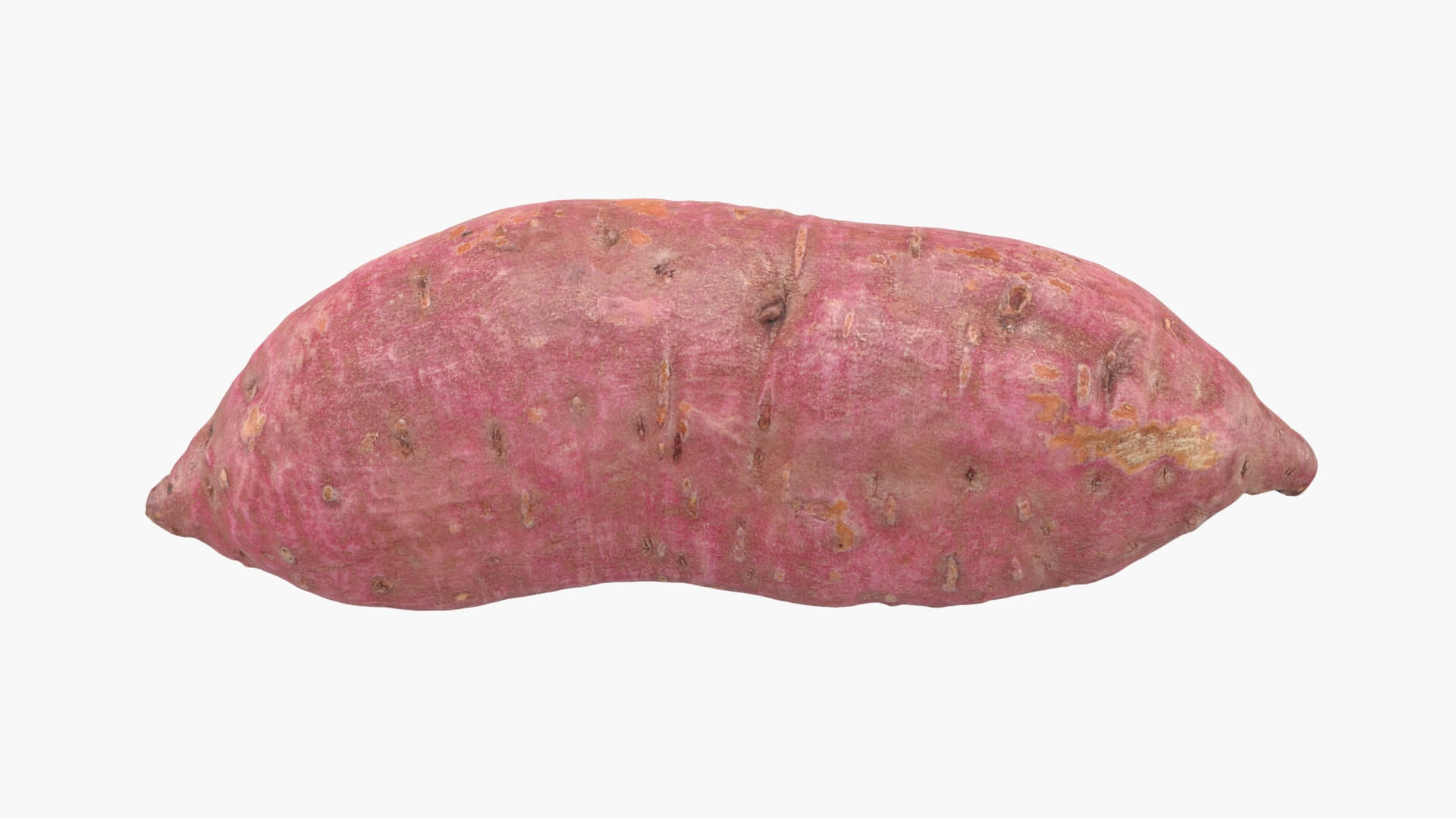 Sweet Potato 06 3D Model