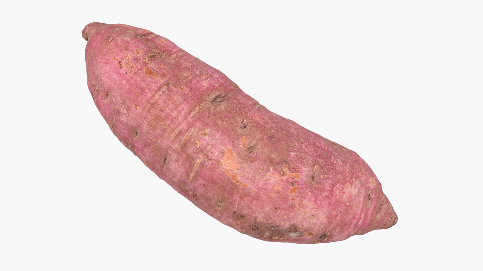 Sweet Potato 06 3D Model