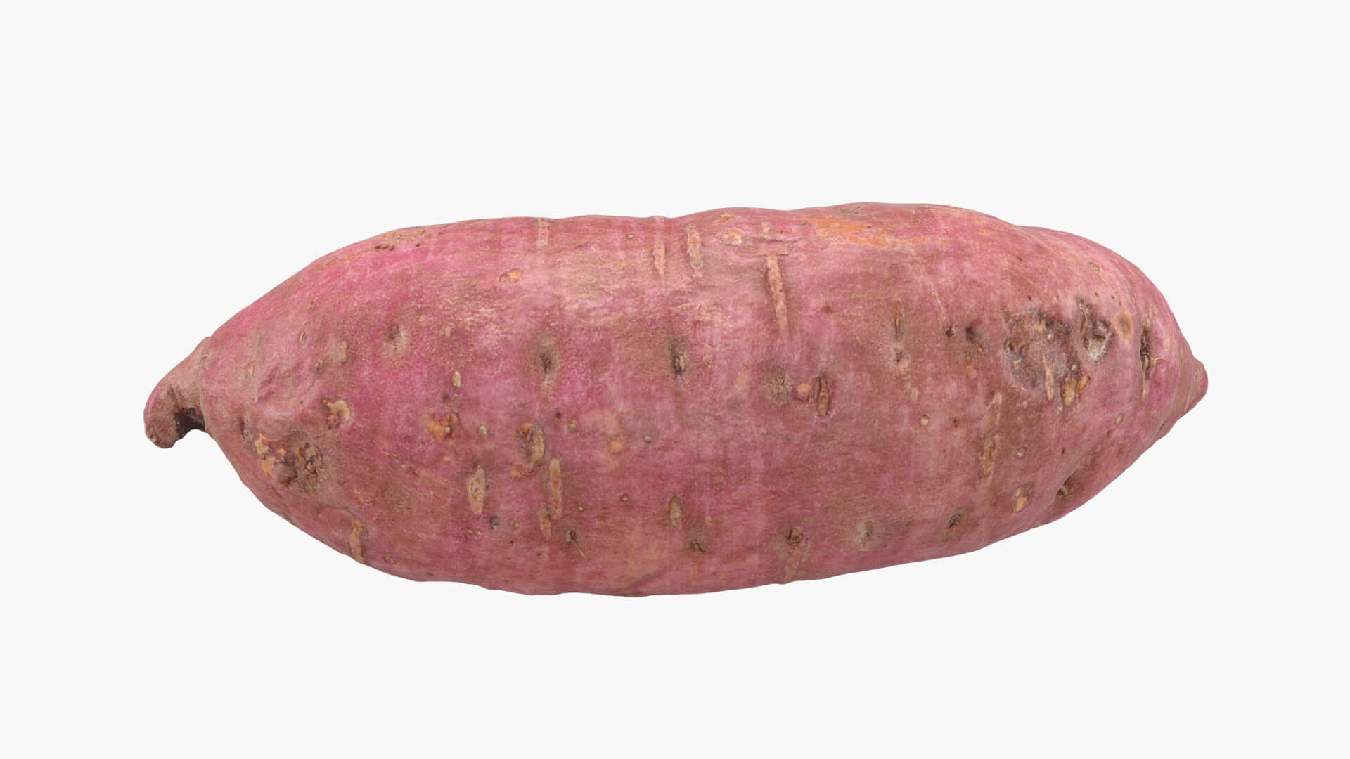Sweet Potato 06 3D Model
