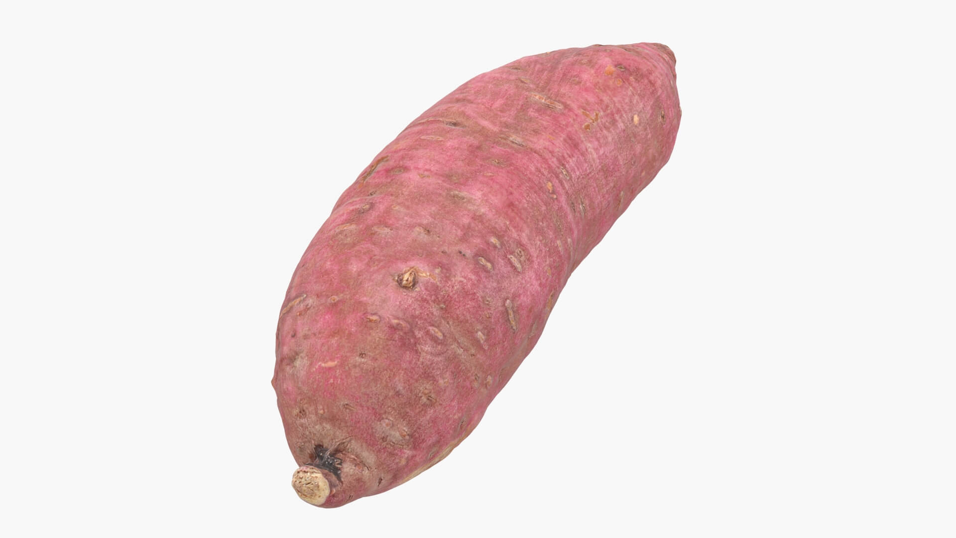 Sweet Potato 06 3D Model