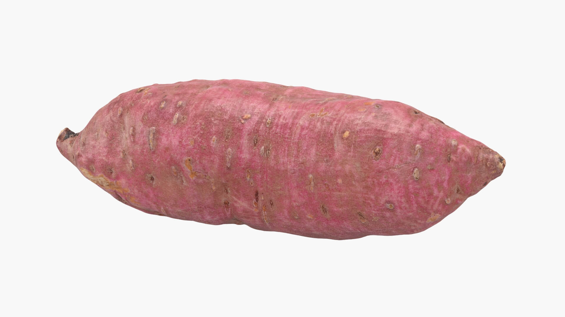Sweet Potato 06 3D Model