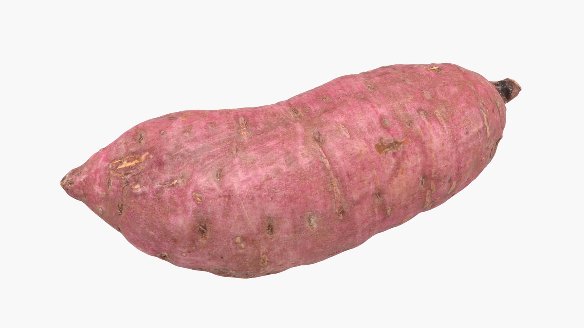 Sweet Potato 06 3D Model