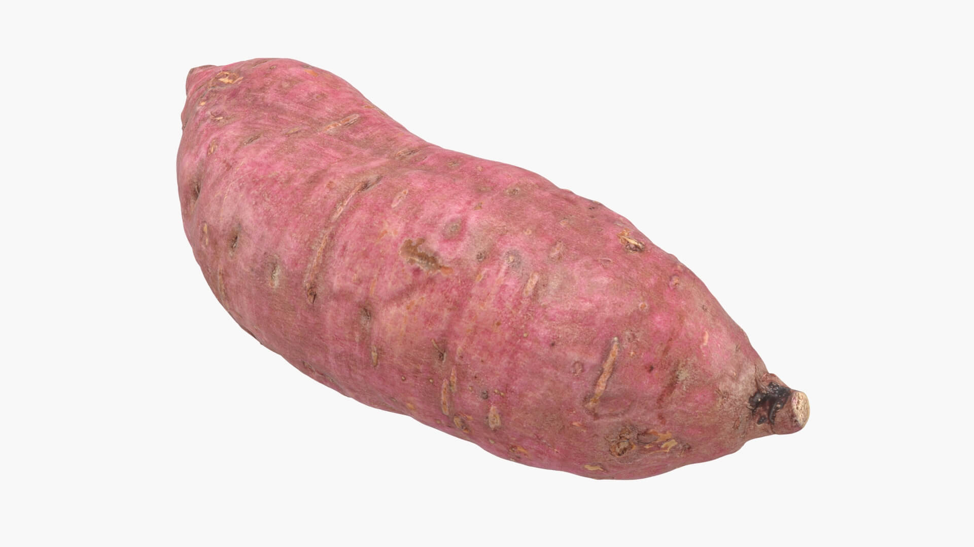Sweet Potato 06 3D Model