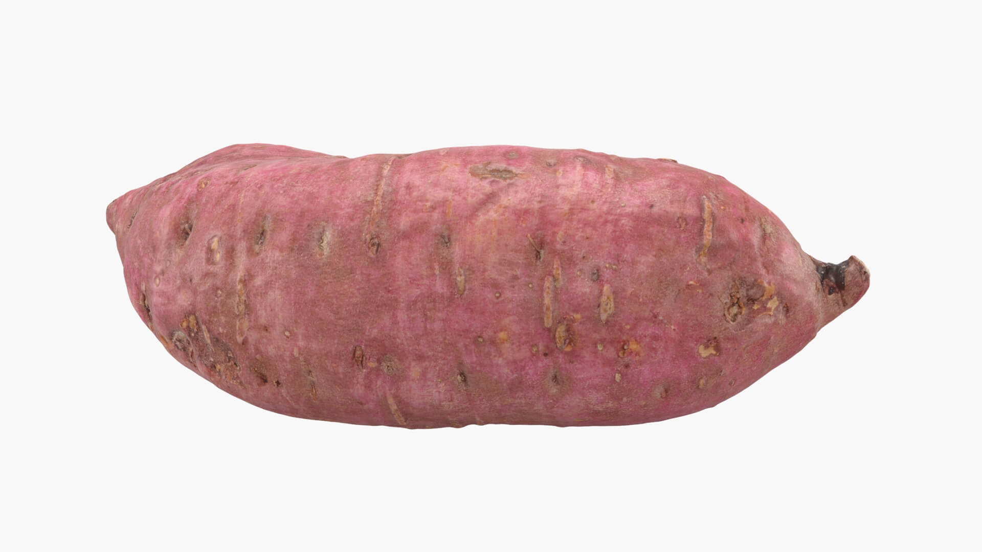 Sweet Potato 06 3D Model