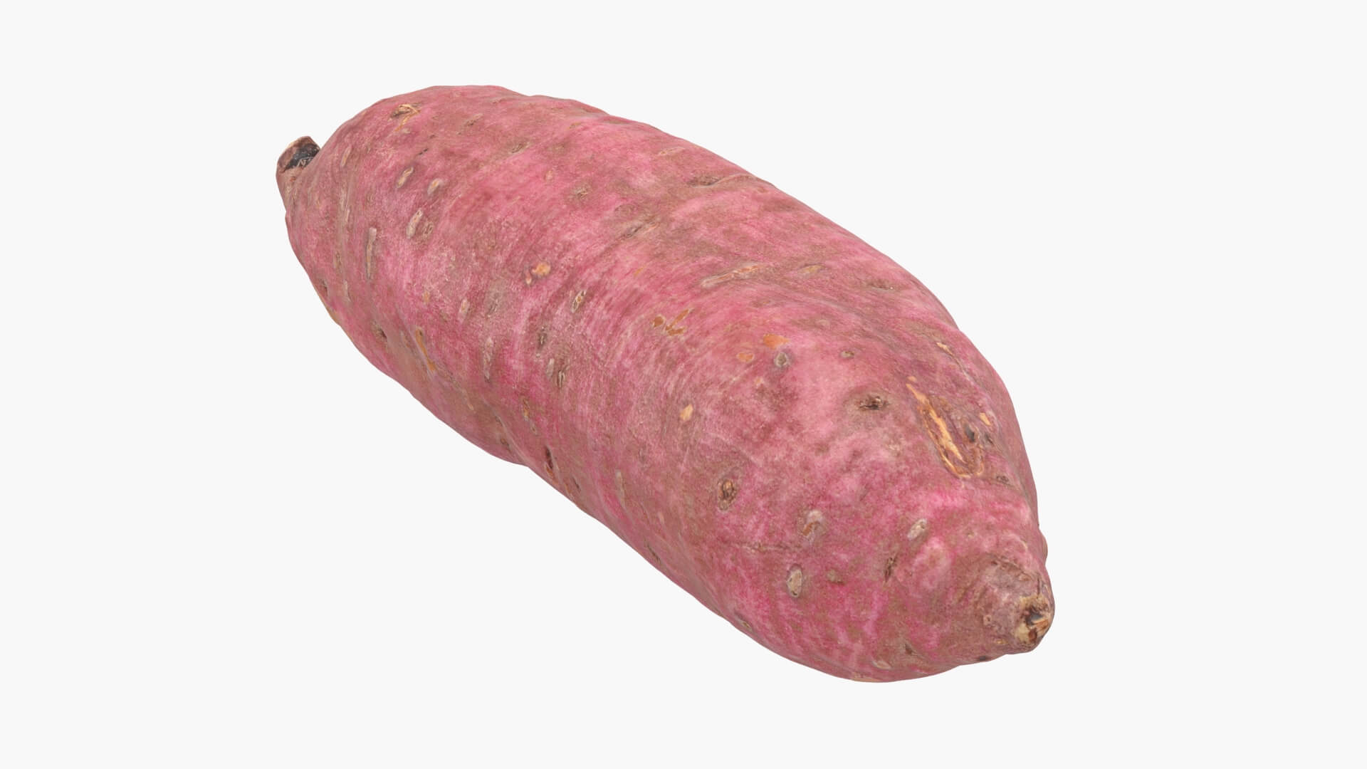 Sweet Potato 06 3D Model
