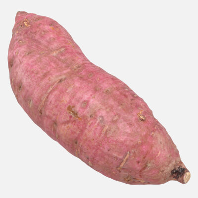 Sweet Potato 06 3D Model