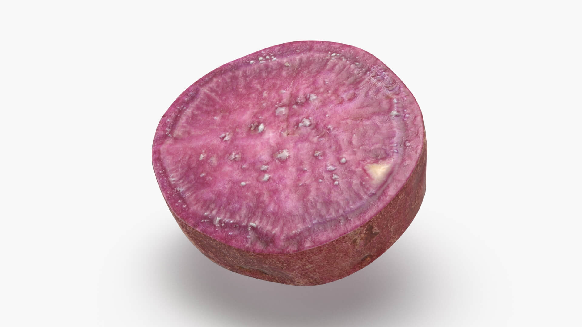 Sweet Potato Slice 02 3D Model
