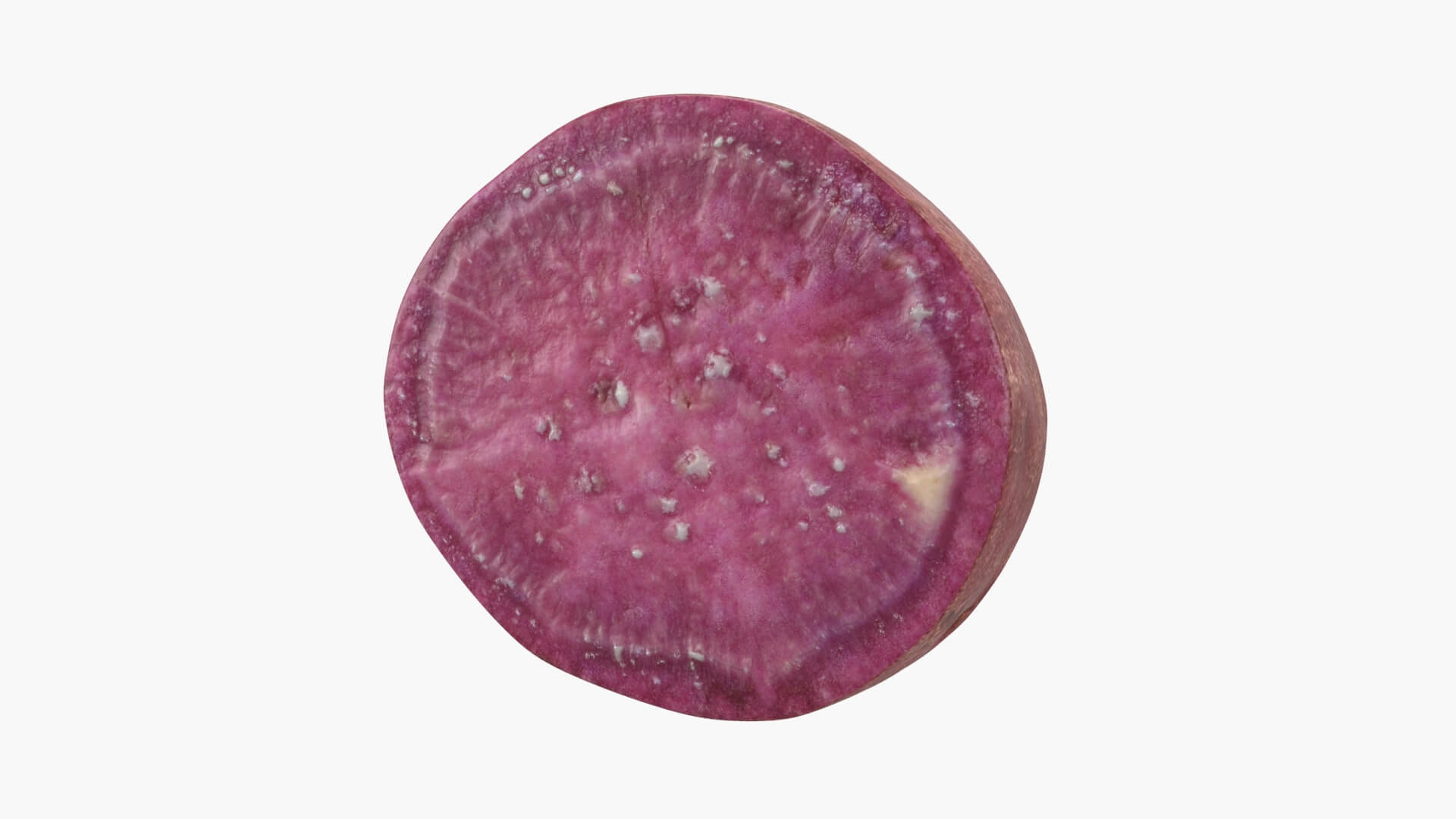 Sweet Potato Slice 02 3D Model