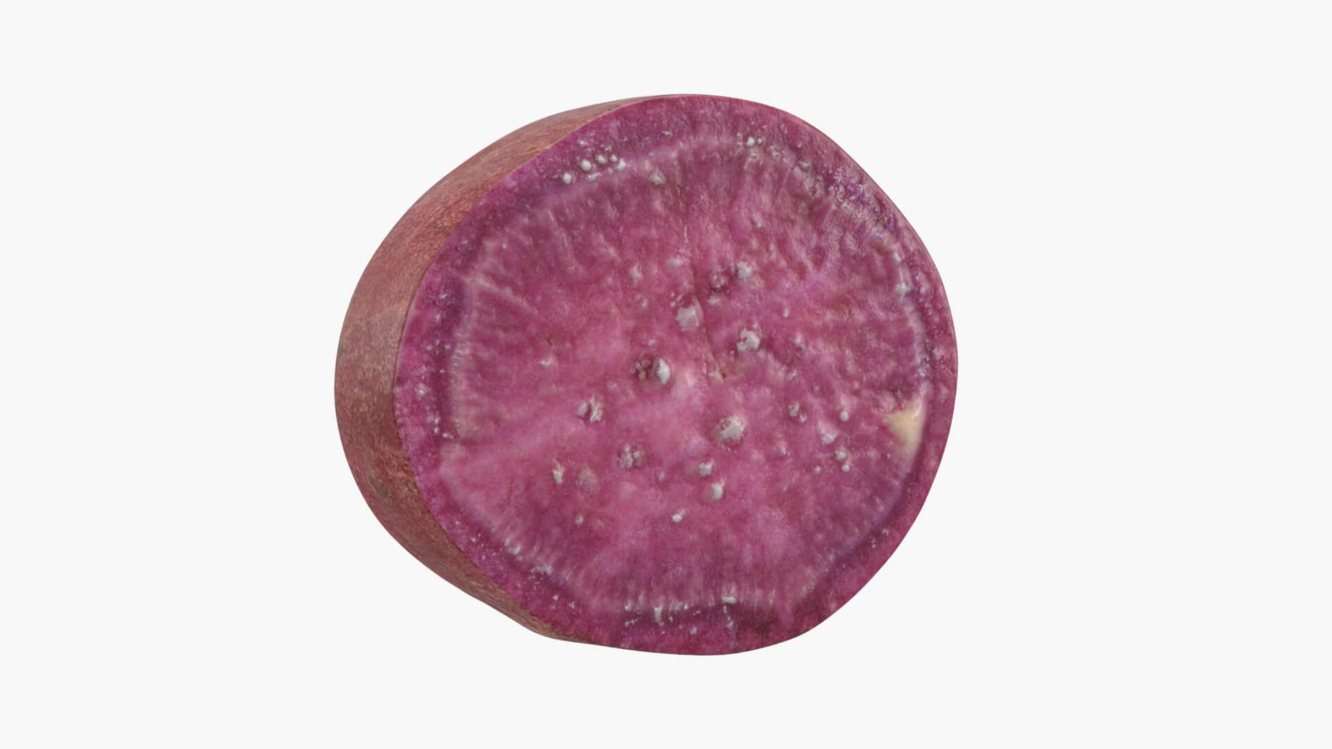 Sweet Potato Slice 02 3D Model