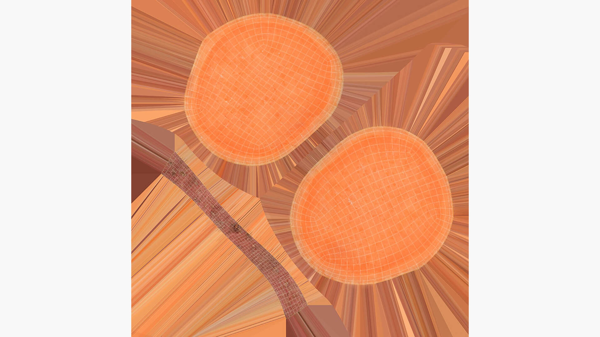 Sweet Potato Slice 03 3D Model