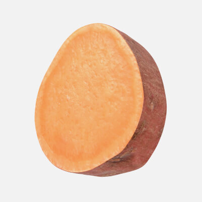 Sweet Potato Slice 03