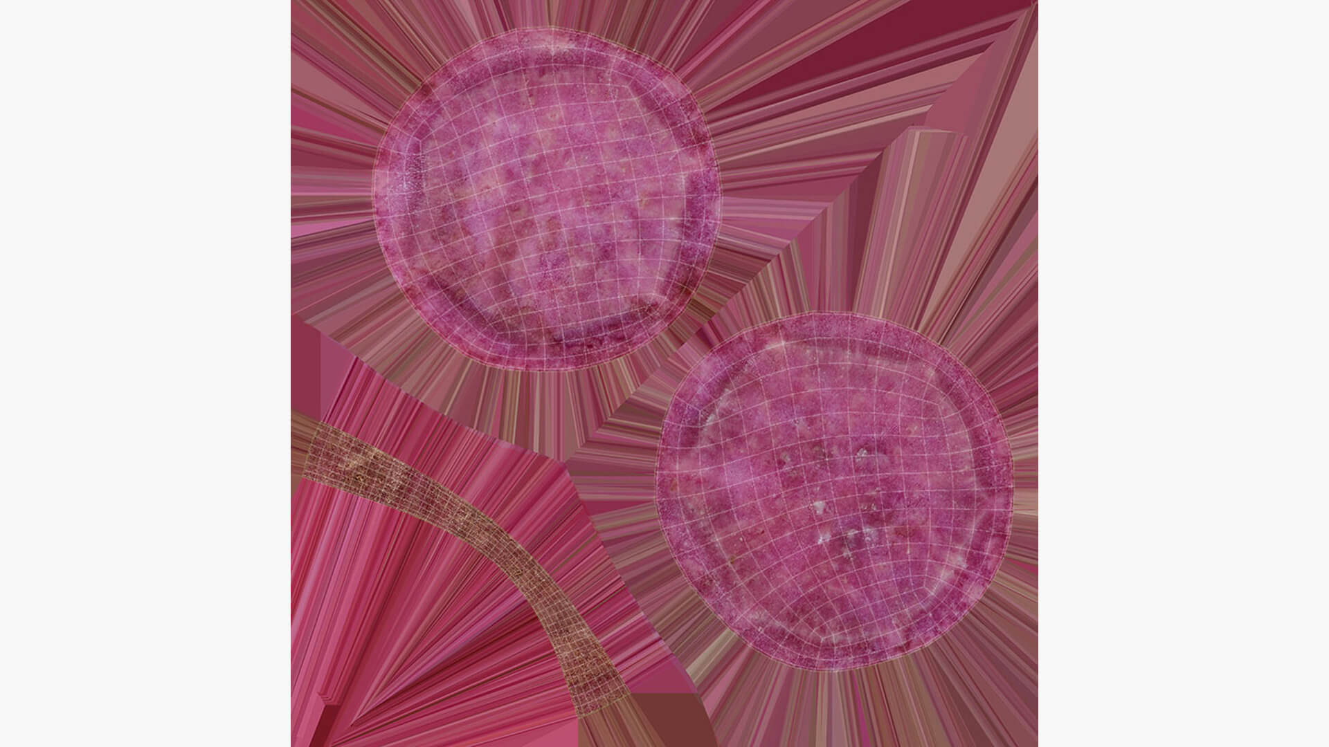 Sweet Potato Slice 04 3D Model