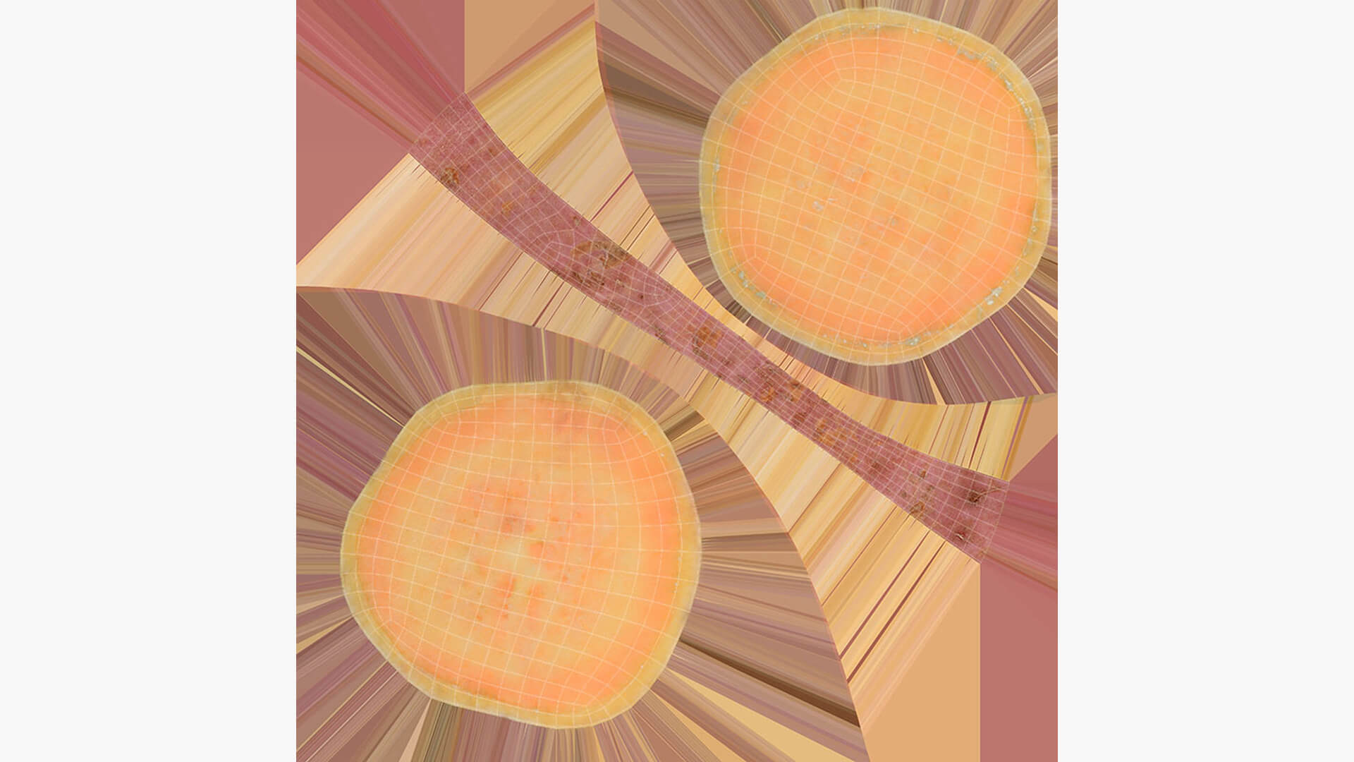 Sweet Potato Slice 05 3D Model
