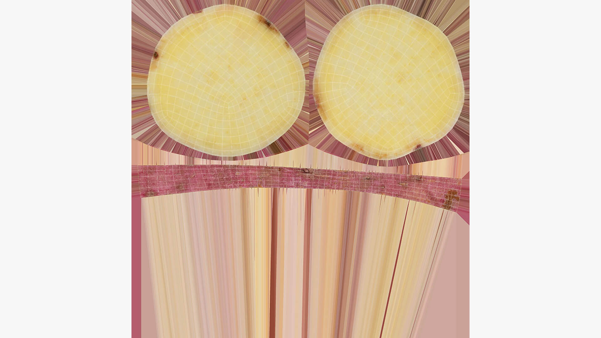 Sweet Potato Slice 06 3D Model