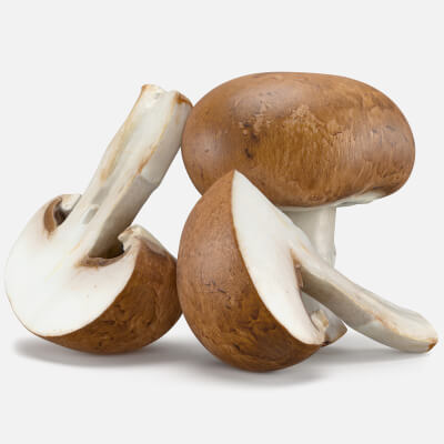 Swiss Brown Mushroom