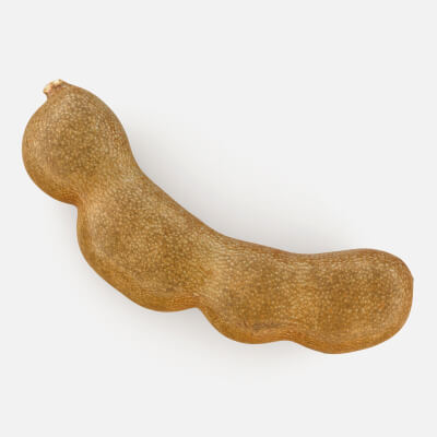 Realistic Tamarind 01