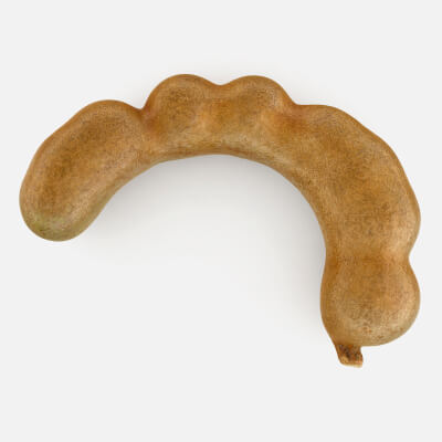 Realistic Tamarind 02
