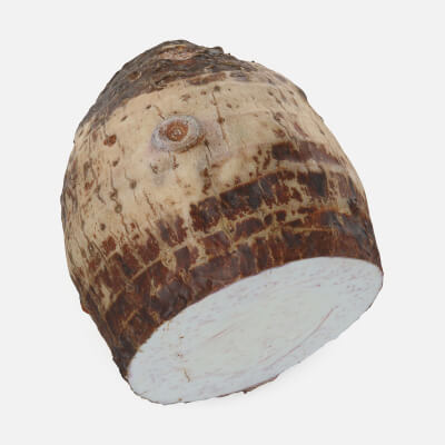 Taro Half 01 - 3D Scanned