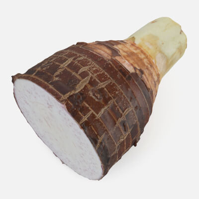 Taro Half 02 - 3D Scanned