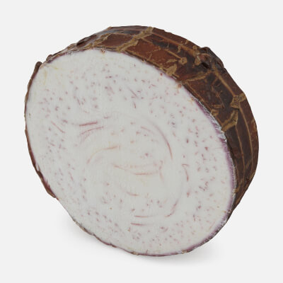 Taro Slice - 3D Scanned