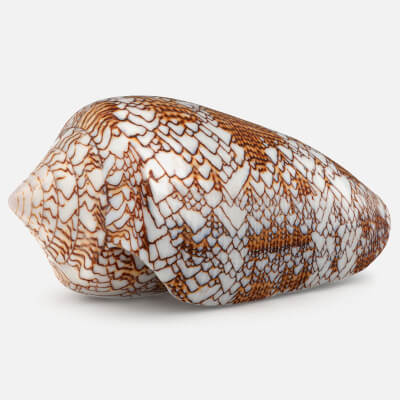 Textile Cone