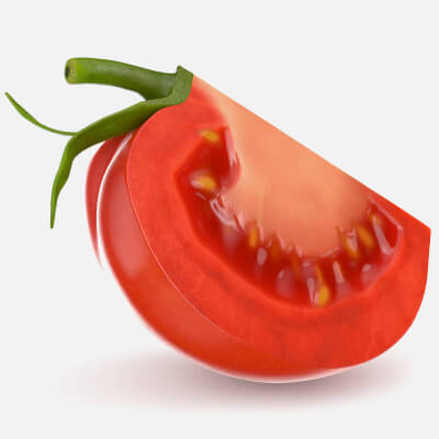 Realistic Tomato Slice