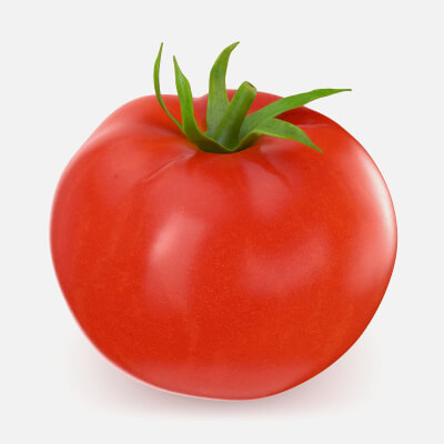 Realistic Tomato