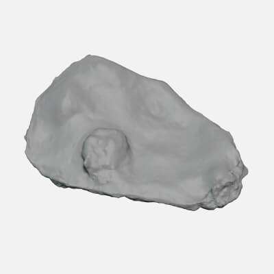 Top Half Oyster 02 - For 3D Print